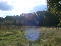 sprzedam dzialki budowlane